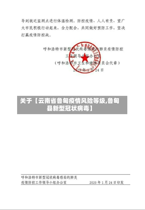 关于【云南省鲁甸疫情风险等级,鲁甸县新型冠状病毒】-第3张图片