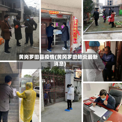 黄岗罗田县疫情(黄冈罗田肺炎最新消息)-第3张图片