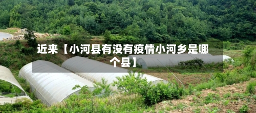 近来【小河县有没有疫情小河乡是哪个县】-第2张图片