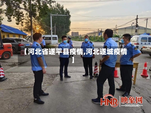 【河北省遂平县疫情,河北遂城疫情】-第2张图片