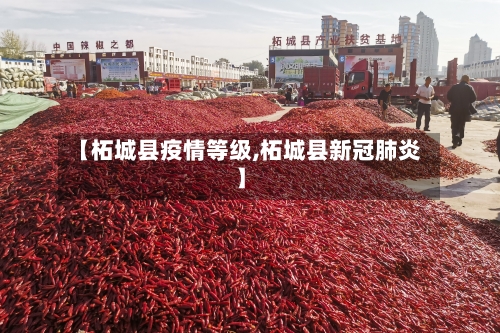 【柘城县疫情等级,柘城县新冠肺炎】