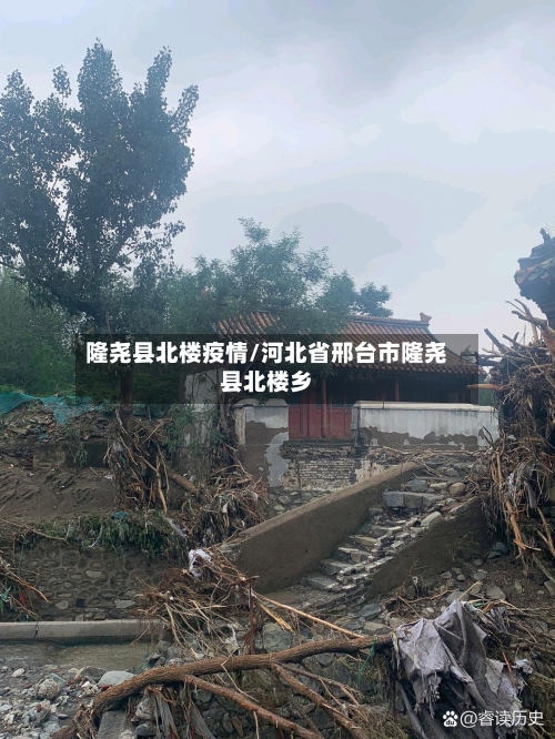 隆尧县北楼疫情/河北省邢台市隆尧县北楼乡