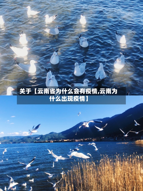 关于【云南省为什么会有疫情,云南为什么出现疫情】
