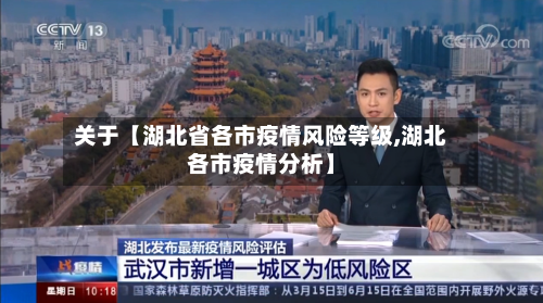 关于【湖北省各市疫情风险等级,湖北各市疫情分析】-第2张图片