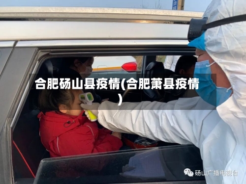 合肥砀山县疫情(合肥萧县疫情)-第3张图片