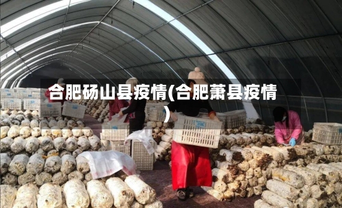 合肥砀山县疫情(合肥萧县疫情)-第2张图片