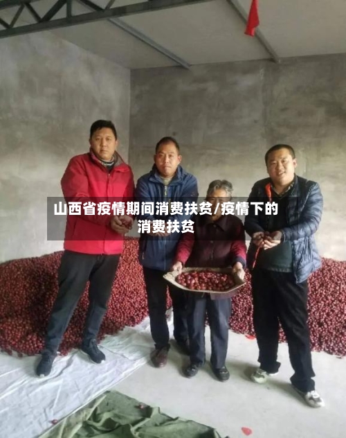 山西省疫情期间消费扶贫/疫情下的消费扶贫