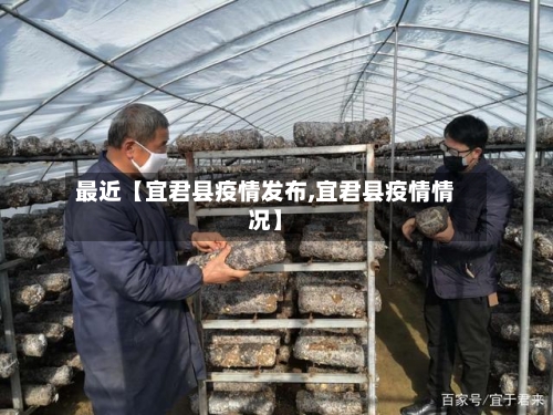 最近【宜君县疫情发布,宜君县疫情情况】-第2张图片