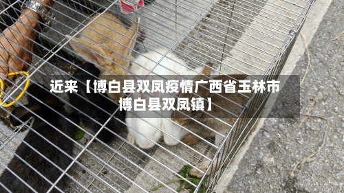 近来【博白县双凤疫情广西省玉林市博白县双凤镇】