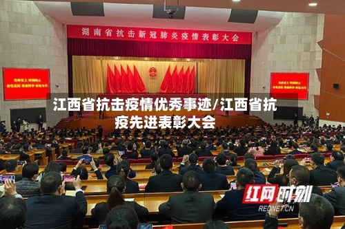 江西省抗击疫情优秀事迹/江西省抗疫先进表彰大会