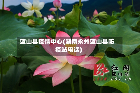 蓝山县疫情中心(湖南永州蓝山县防疫站电话)