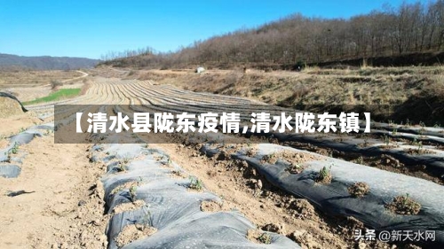 【清水县陇东疫情,清水陇东镇】-第3张图片