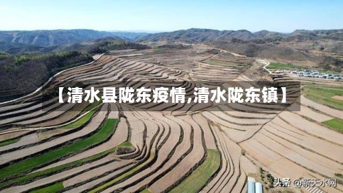 【清水县陇东疫情,清水陇东镇】