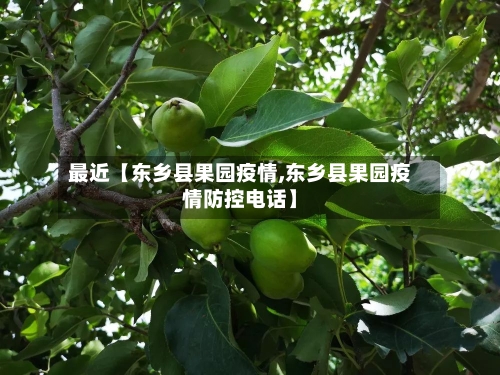 最近【东乡县果园疫情,东乡县果园疫情防控电话】