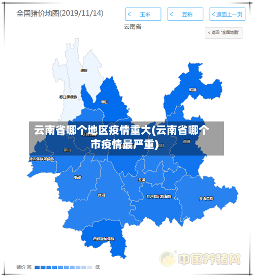 云南省哪个地区疫情重大(云南省哪个市疫情最严重)