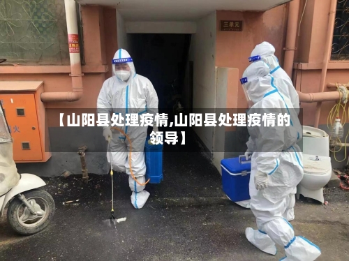 【山阳县处理疫情,山阳县处理疫情的领导】-第3张图片