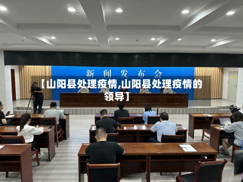 【山阳县处理疫情,山阳县处理疫情的领导】