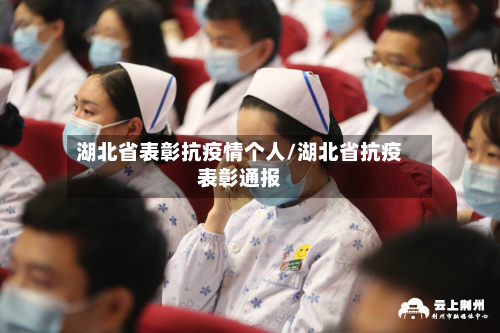 湖北省表彰抗疫情个人/湖北省抗疫表彰通报