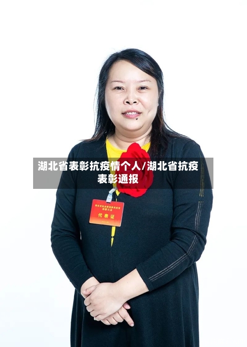 湖北省表彰抗疫情个人/湖北省抗疫表彰通报-第2张图片