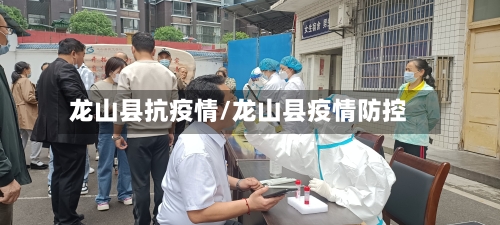 龙山县抗疫情/龙山县疫情防控
