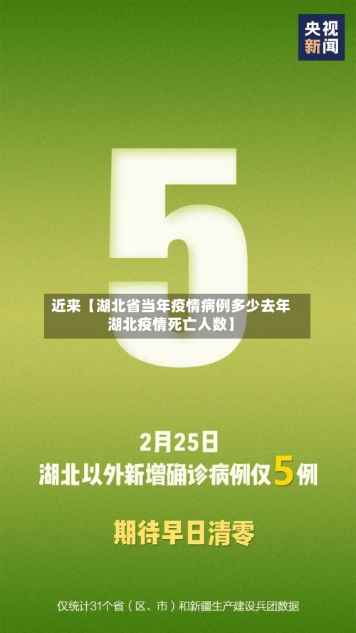 近来【湖北省当年疫情病例多少去年湖北疫情死亡人数】-第2张图片
