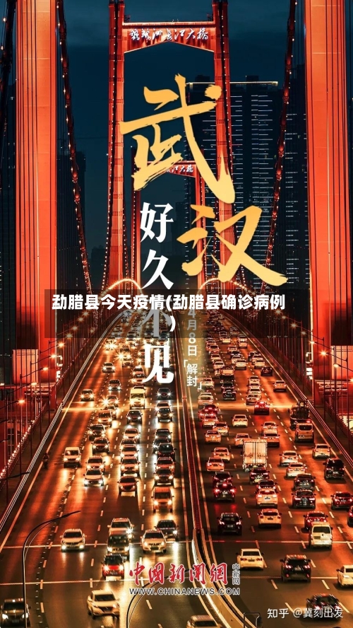 勐腊县今天疫情(勐腊县确诊病例)