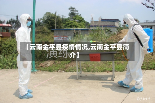 【云南金平县疫情情况,云南金平县简介】