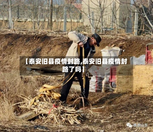 【泰安旧县疫情封路,泰安旧县疫情封路了吗】-第3张图片