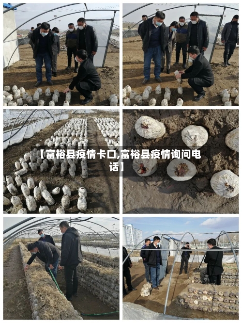 【富裕县疫情卡口,富裕县疫情询问电话】