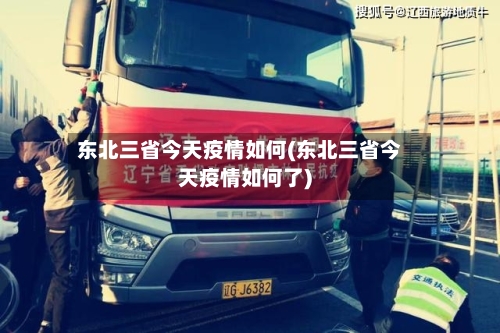 东北三省今天疫情如何(东北三省今天疫情如何了)-第2张图片