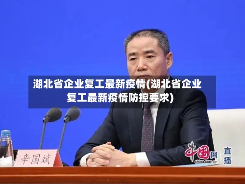 湖北省企业复工最新疫情(湖北省企业复工最新疫情防控要求)