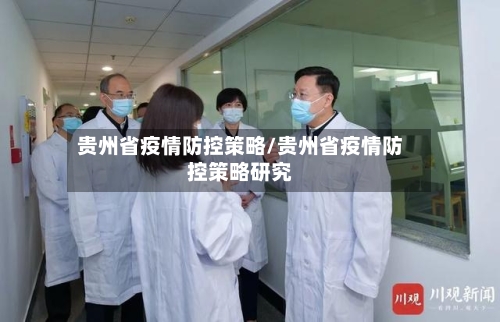 贵州省疫情防控策略/贵州省疫情防控策略研究