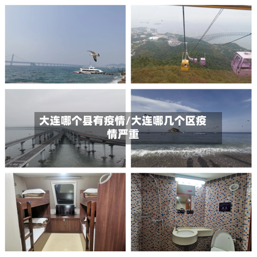 大连哪个县有疫情/大连哪几个区疫情严重