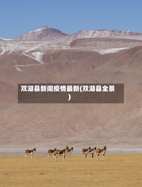 双湖县新闻疫情最新(双湖县全景)