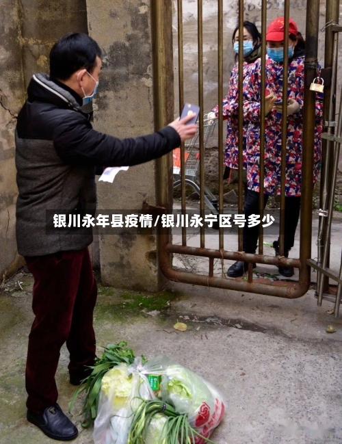 银川永年县疫情/银川永宁区号多少-第3张图片