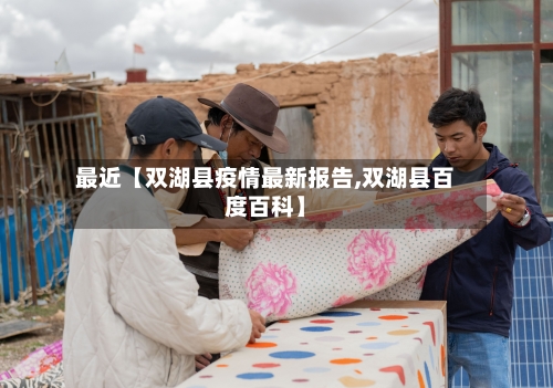 最近【双湖县疫情最新报告,双湖县百度百科】-第3张图片