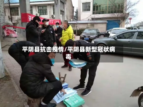 平阴县抗击疫情/平阴县新型冠状病毒-第3张图片