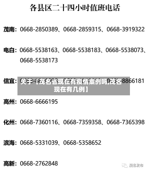 关于【茂名省现在有疫情案例吗,茂名现在有几例】-第2张图片