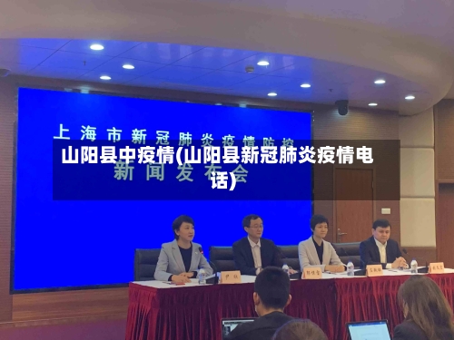 山阳县中疫情(山阳县新冠肺炎疫情电话)-第2张图片