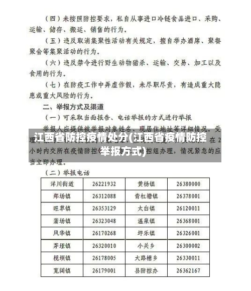 江西省防控疫情处分(江西省疫情防控举报方式)-第2张图片