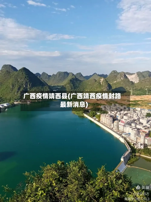 广西疫情靖西县(广西靖西疫情封路最新消息)-第2张图片