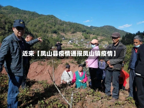 近来【凤山县疫情通报凤山镇疫情】-第2张图片