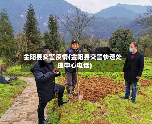 金阳县交警疫情(金阳县交警快速处理中心电话)