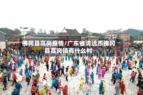 佛冈县高岗疫情/广东省清远市佛冈县高岗镇有什么村
