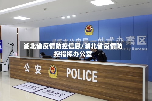 湖北省疫情防控信息/湖北省疫情防控指挥办公室-第3张图片