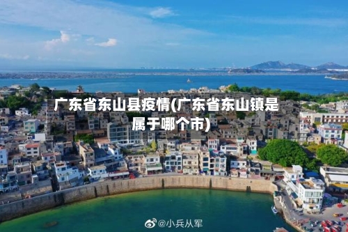 广东省东山县疫情(广东省东山镇是属于哪个市)-第2张图片