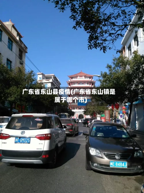 广东省东山县疫情(广东省东山镇是属于哪个市)