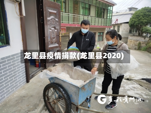 龙里县疫情捐款(龙里县2020)