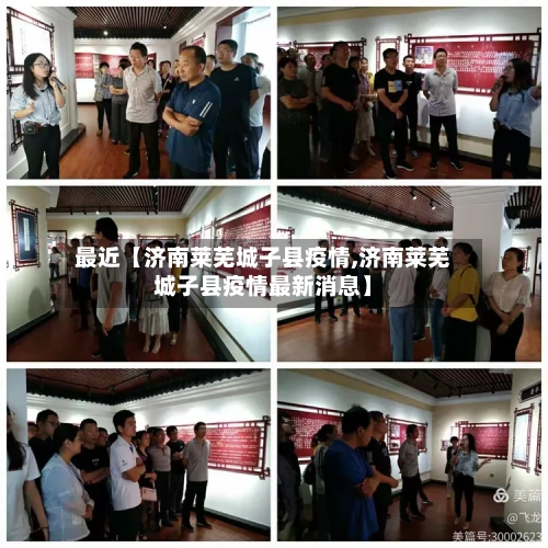 最近【济南莱芜城子县疫情,济南莱芜城子县疫情最新消息】-第2张图片