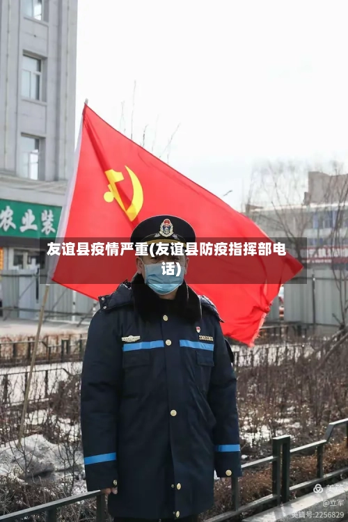友谊县疫情严重(友谊县防疫指挥部电话)-第2张图片